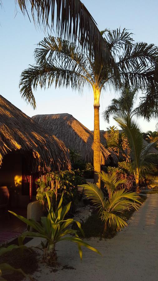 Village Temanuata Bora Bora Dış mekan fotoğraf