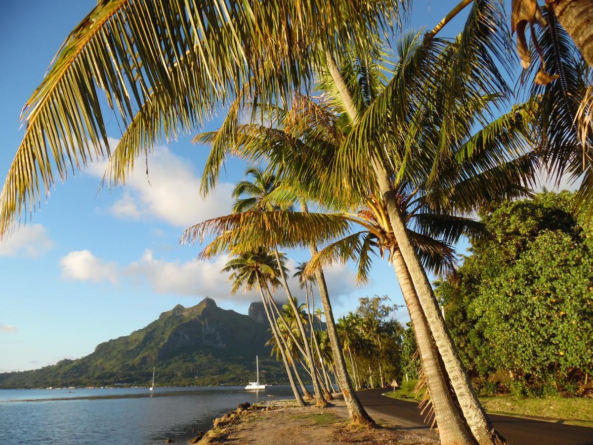 Village Temanuata Bora Bora Dış mekan fotoğraf